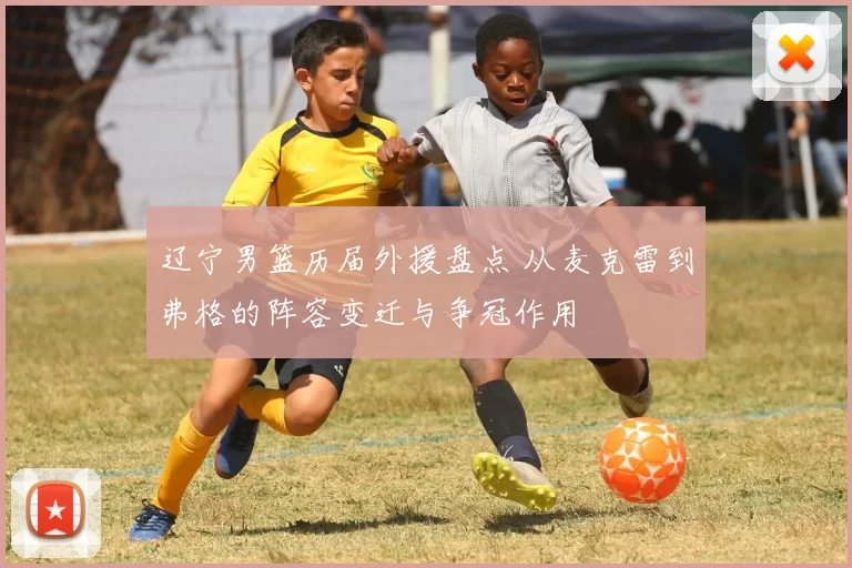 辽宁男篮历届外援盘点 从麦克雷到弗格的阵容变迁与争冠作用