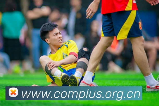 多媒体互动体验